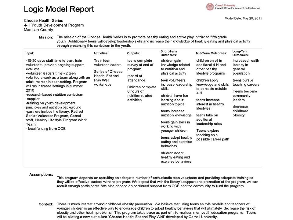 logic model report