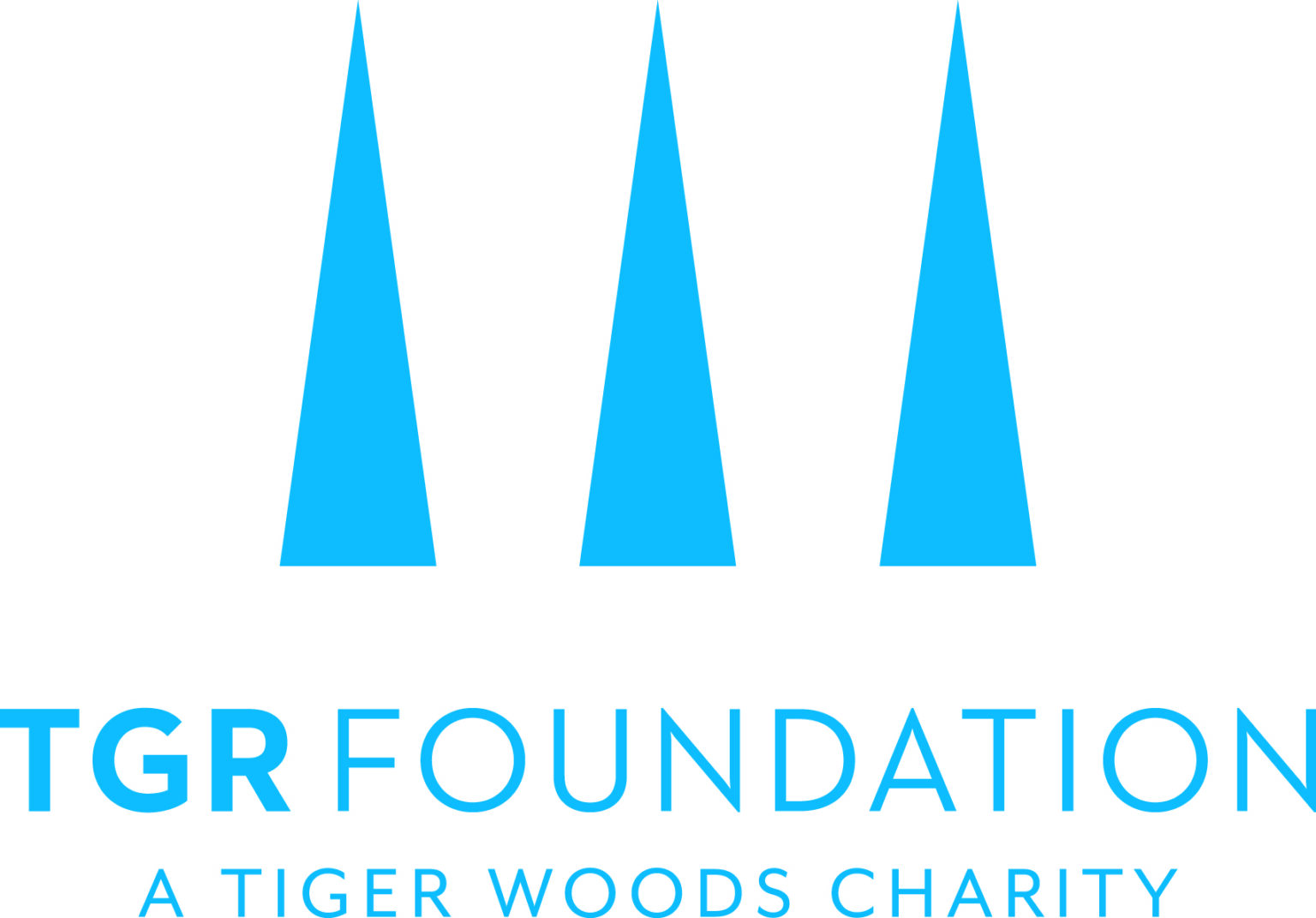 TGR_Foundation_primary